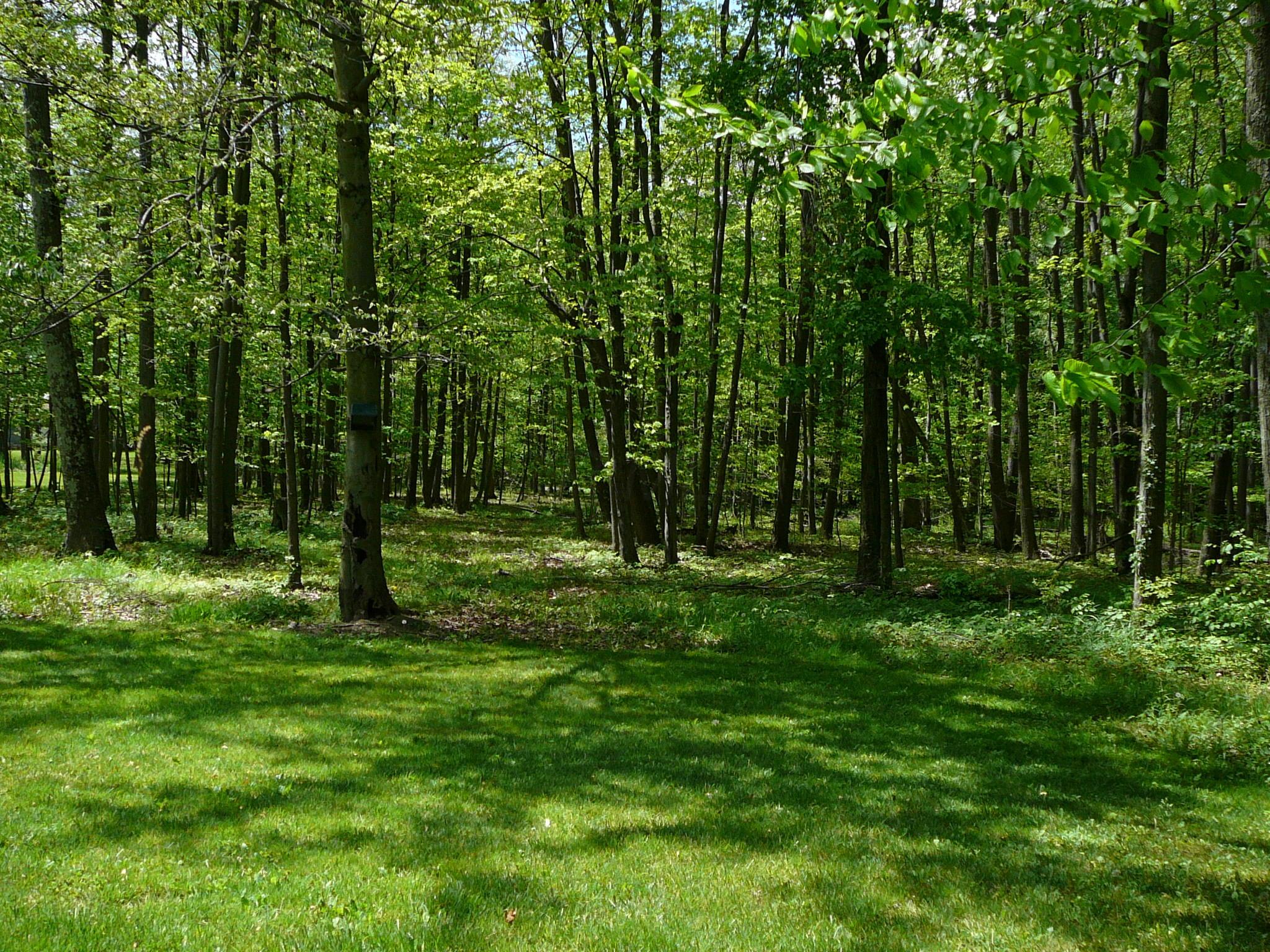 6725 Lane Road Centerburg, OH 43011 - Photo 83 of 107 Gallery Image 83