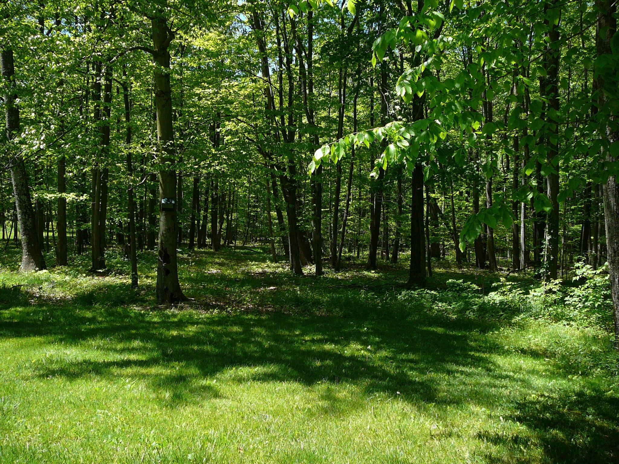 6725 Lane Road Centerburg, OH 43011 - Photo 85 of 107 Gallery Image 85