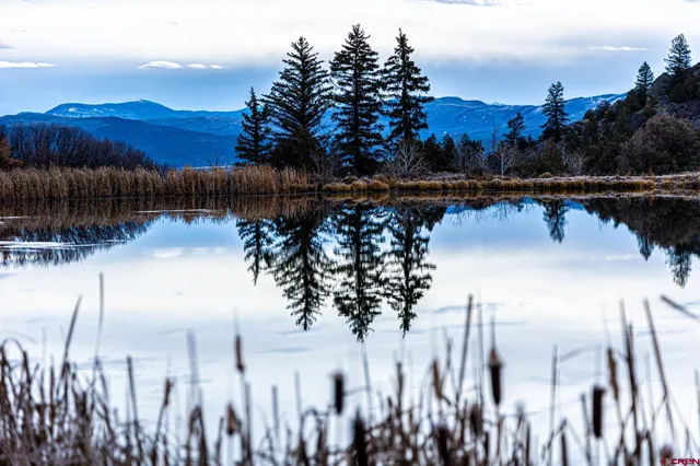 a view of an ocean and a mountain