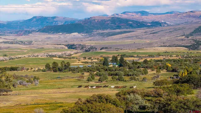a view of a backyard with a wooden fence and a large tree