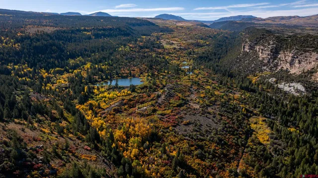 an aerial view of residential house and green space