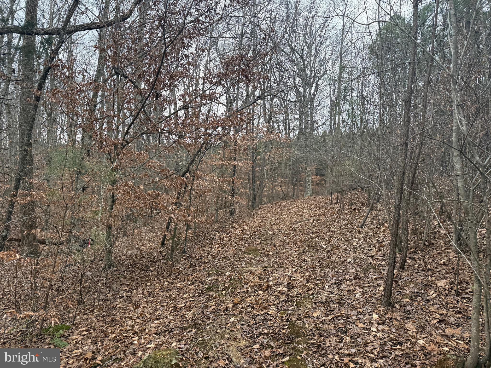 Lot 1 Hardware Road Arvonia, VA 23004 - Photo 12 of 20