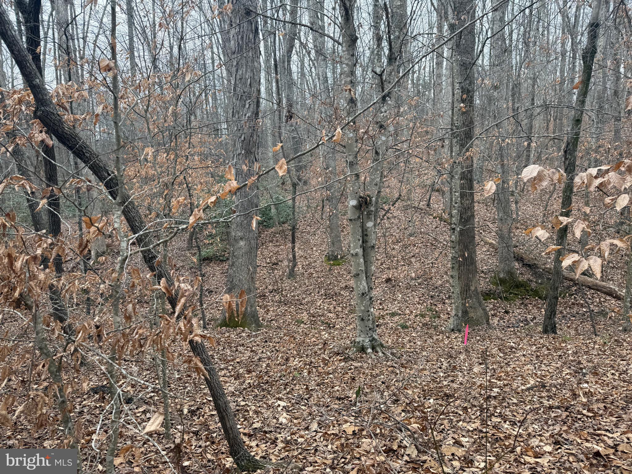 Lot 1 Hardware Road Arvonia, VA 23004 - Photo 13 of 20