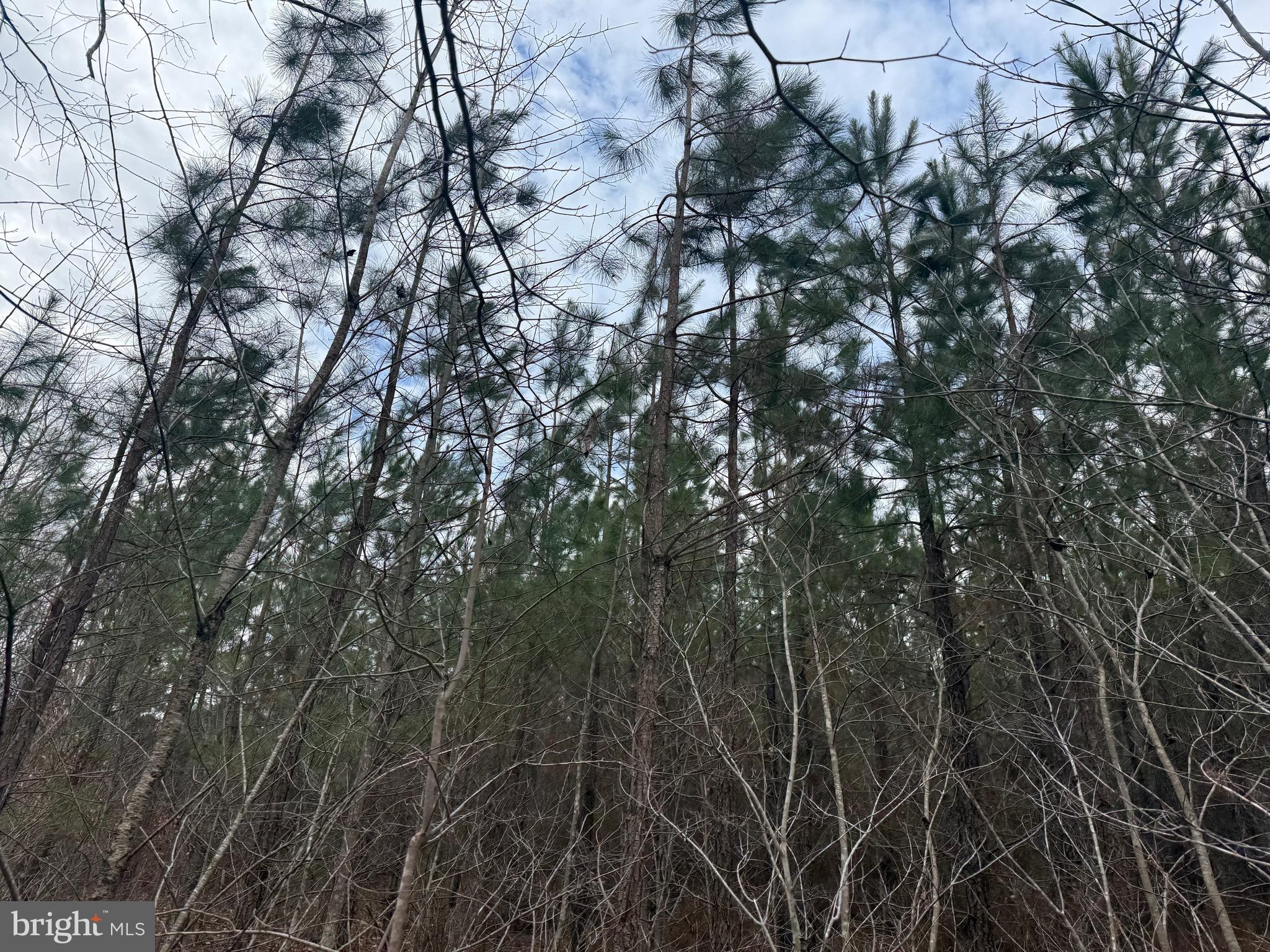 Lot 1 Hardware Road Arvonia, VA 23004 - Photo 14 of 20