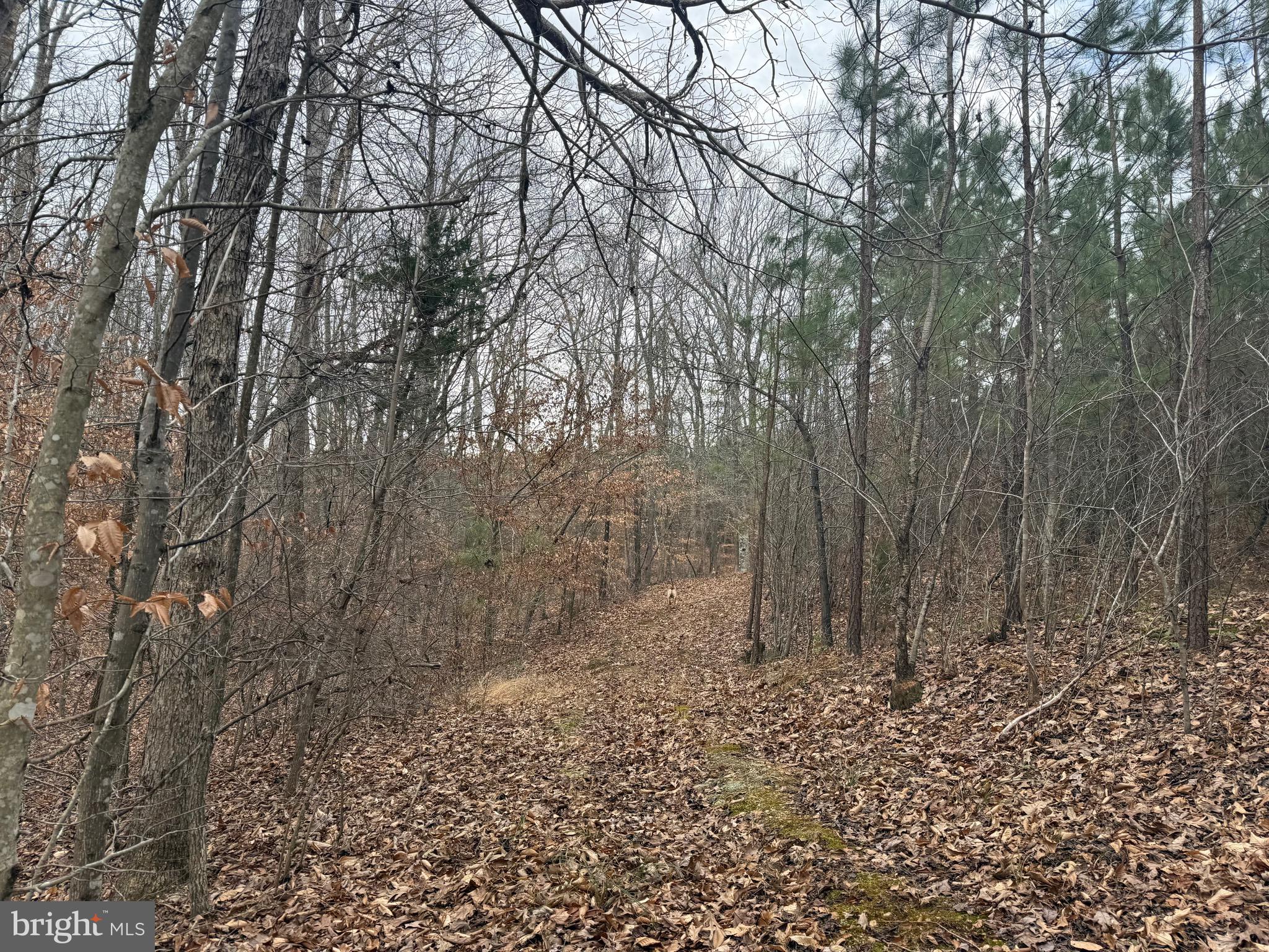 Lot 1 Hardware Road Arvonia, VA 23004 - Photo 16 of 20