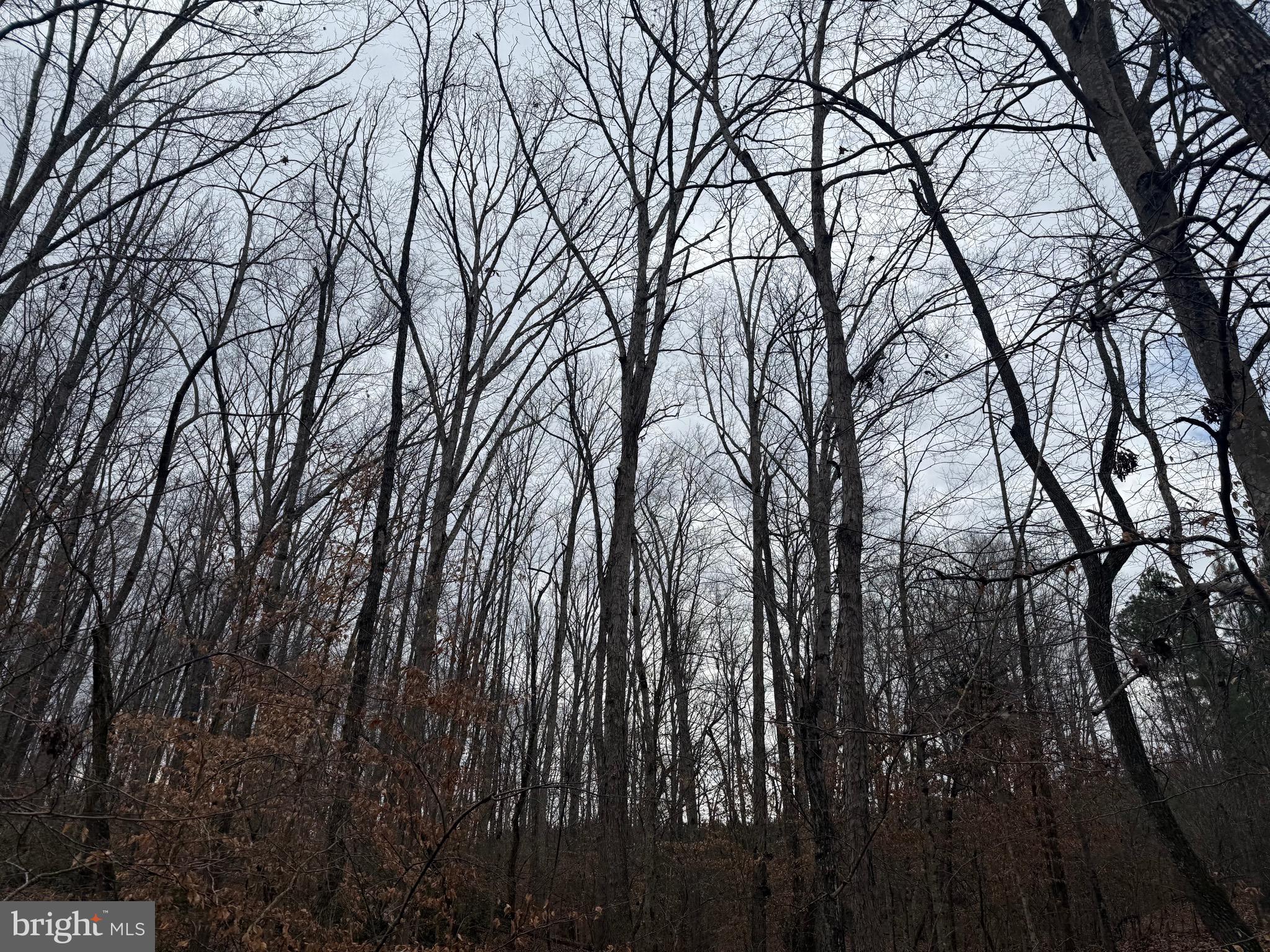 Lot 1 Hardware Road Arvonia, VA 23004 - Photo 17 of 20