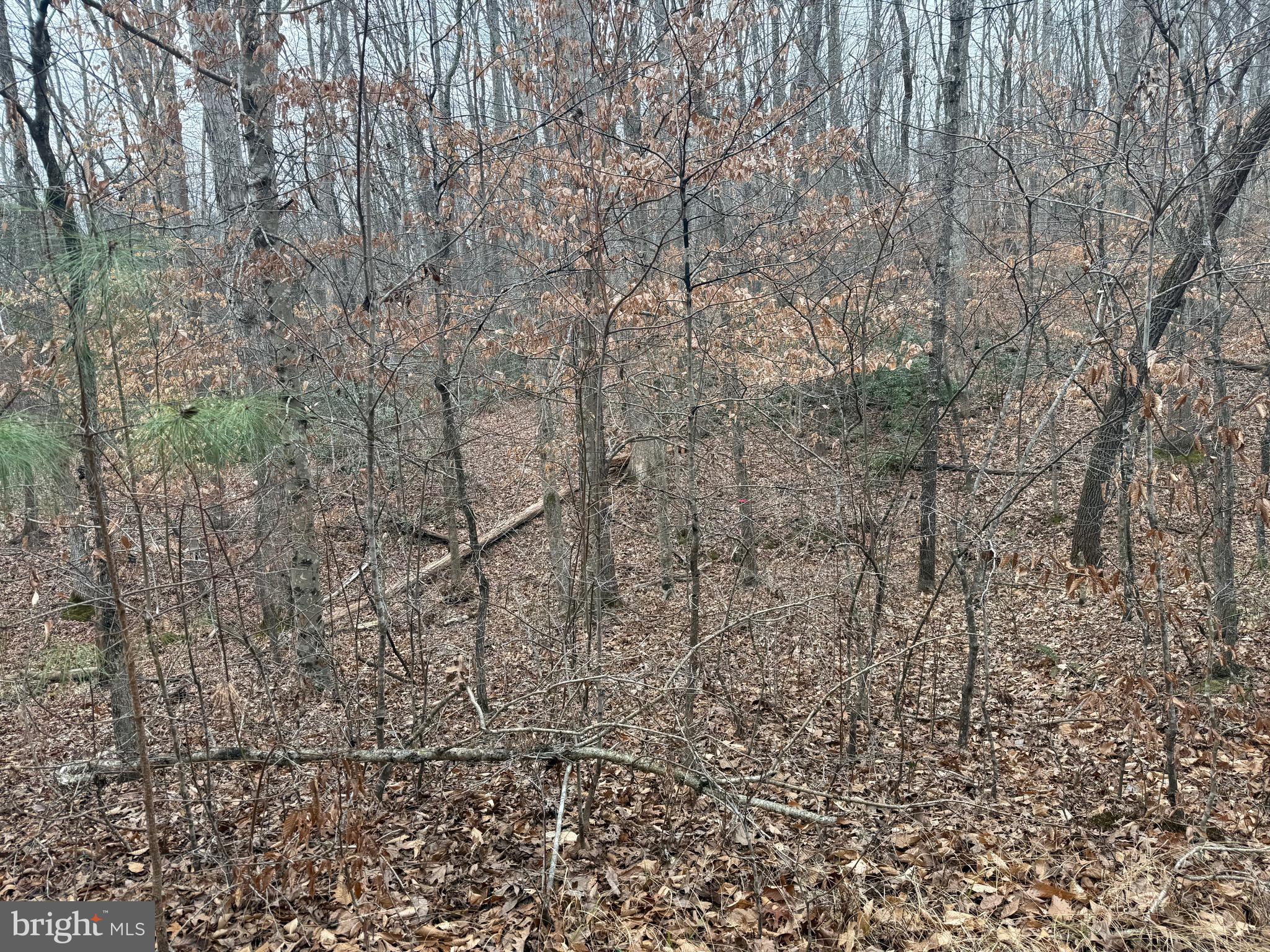 Lot 1 Hardware Road Arvonia, VA 23004 - Photo 18 of 20