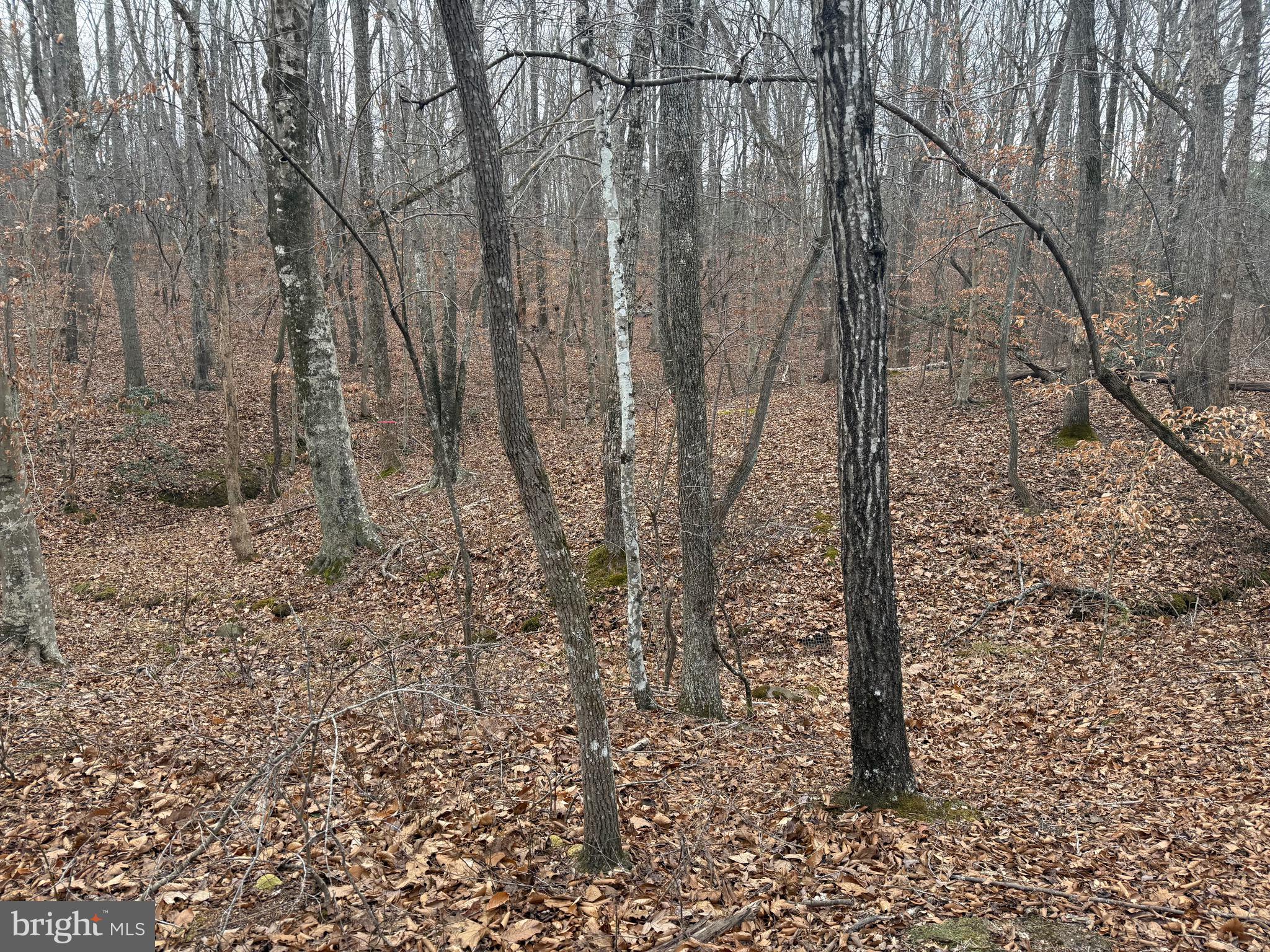 Lot 1 Hardware Road Arvonia, VA 23004 - Photo 19 of 20