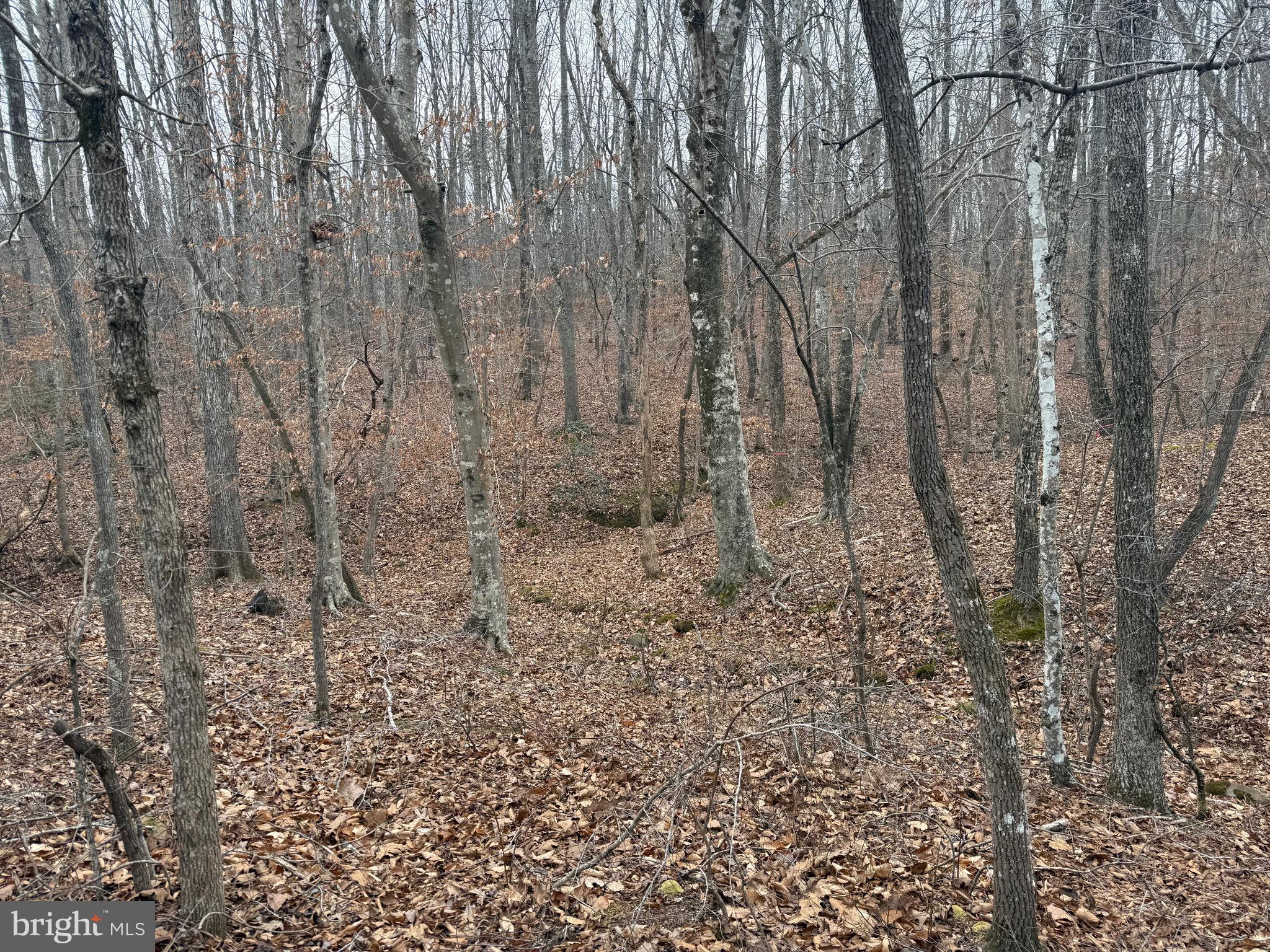 Lot 1 Hardware Road Arvonia, VA 23004 - Photo 2 of 20