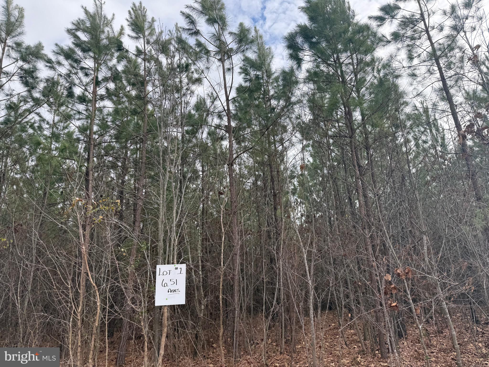 Lot 1 Hardware Road Arvonia, VA 23004 - Photo 3 of 20