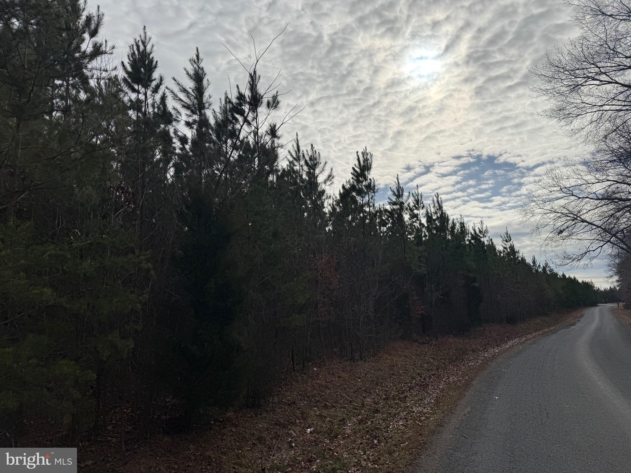 Lot 1 Hardware Road Arvonia, VA 23004 - Photo 4 of 20