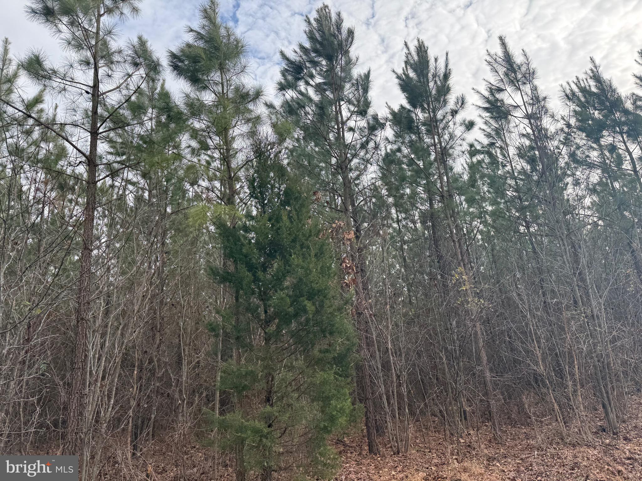 Lot 1 Hardware Road Arvonia, VA 23004 - Photo 5 of 20