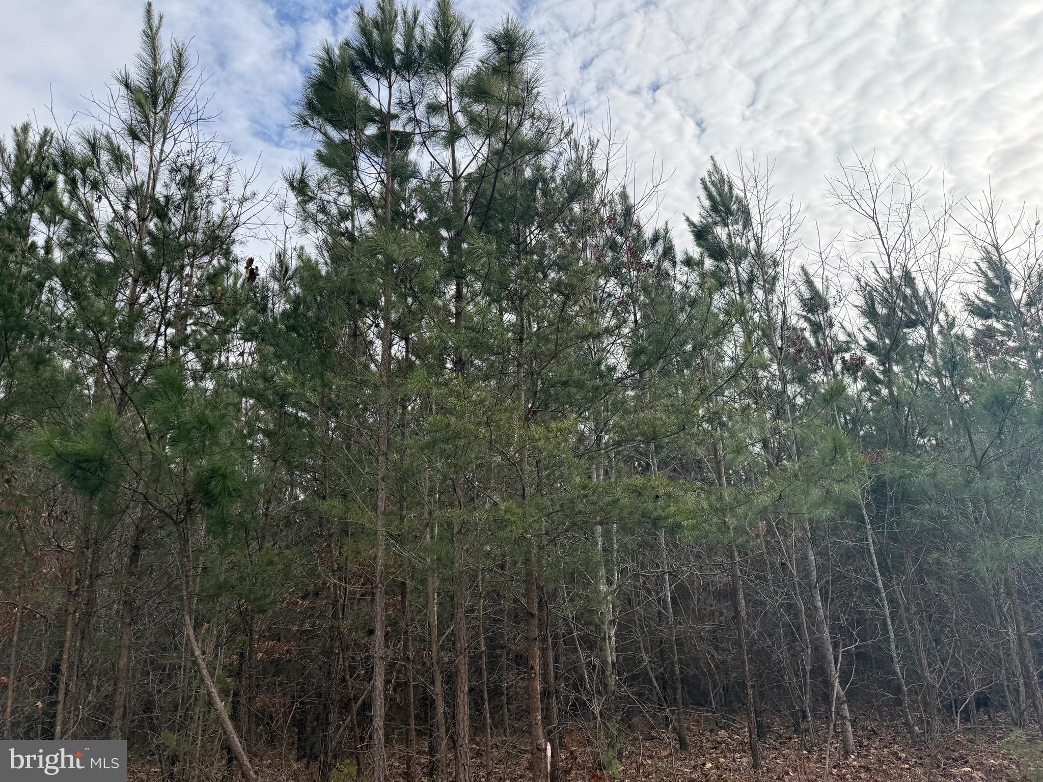 Lot 1 Hardware Road Arvonia, VA 23004 - Photo 7 of 20