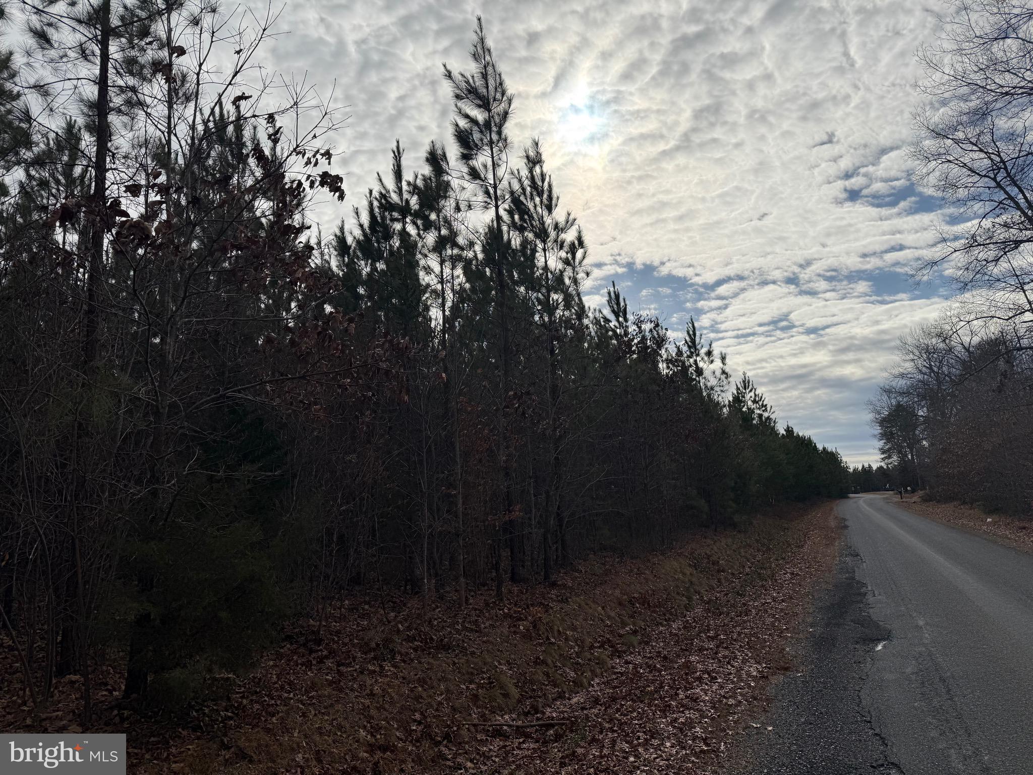 Lot 1 Hardware Road Arvonia, VA 23004 - Photo 8 of 20