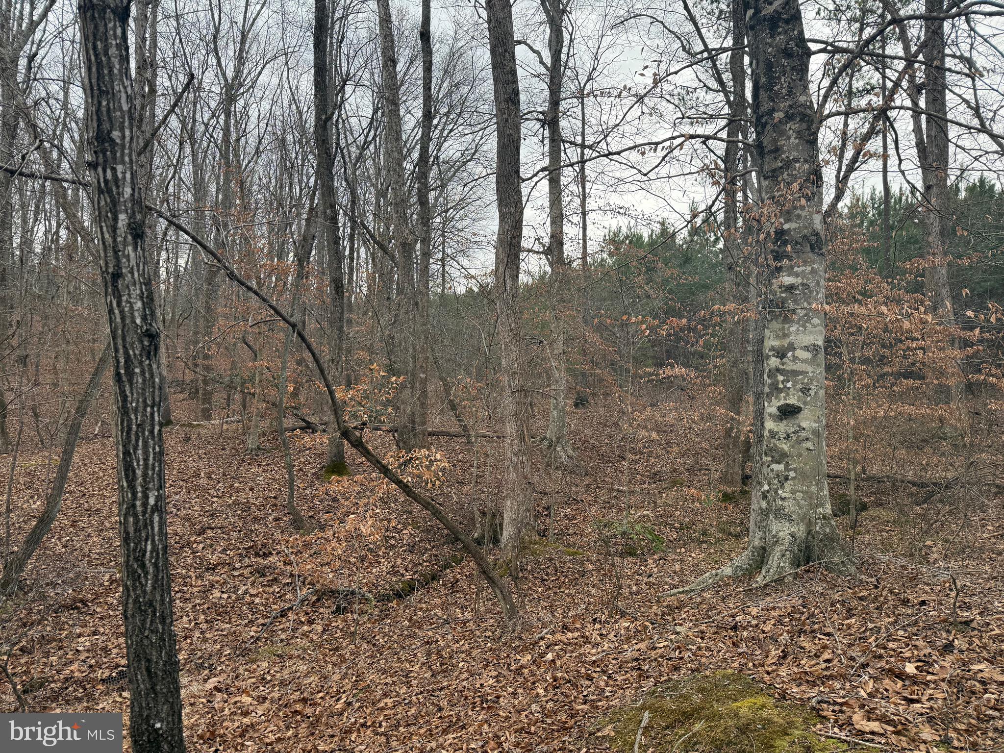 Lot 1 Hardware Road Arvonia, VA 23004 - Photo 9 of 20