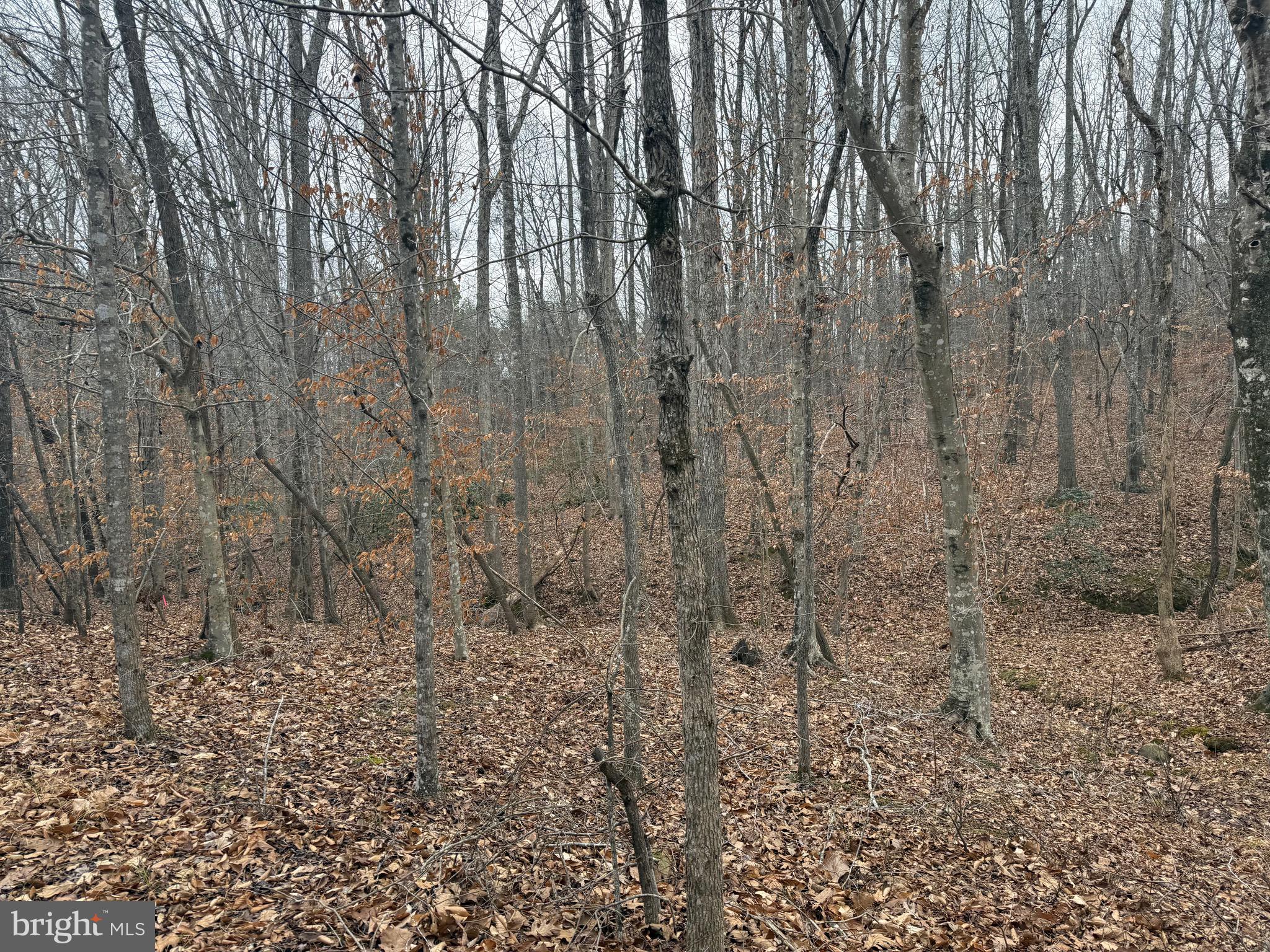 Lot 1 Hardware Road Arvonia, VA 23004 - Photo 10 of 20