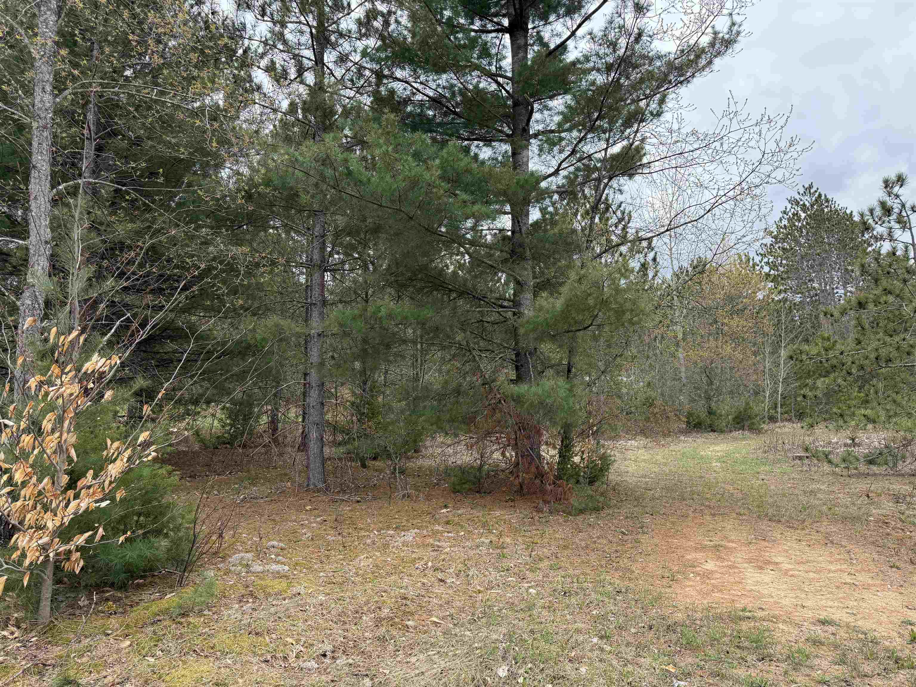 3522 Sigma Road Southeast Kalkaska, MI 49646 - Photo 22 of 24