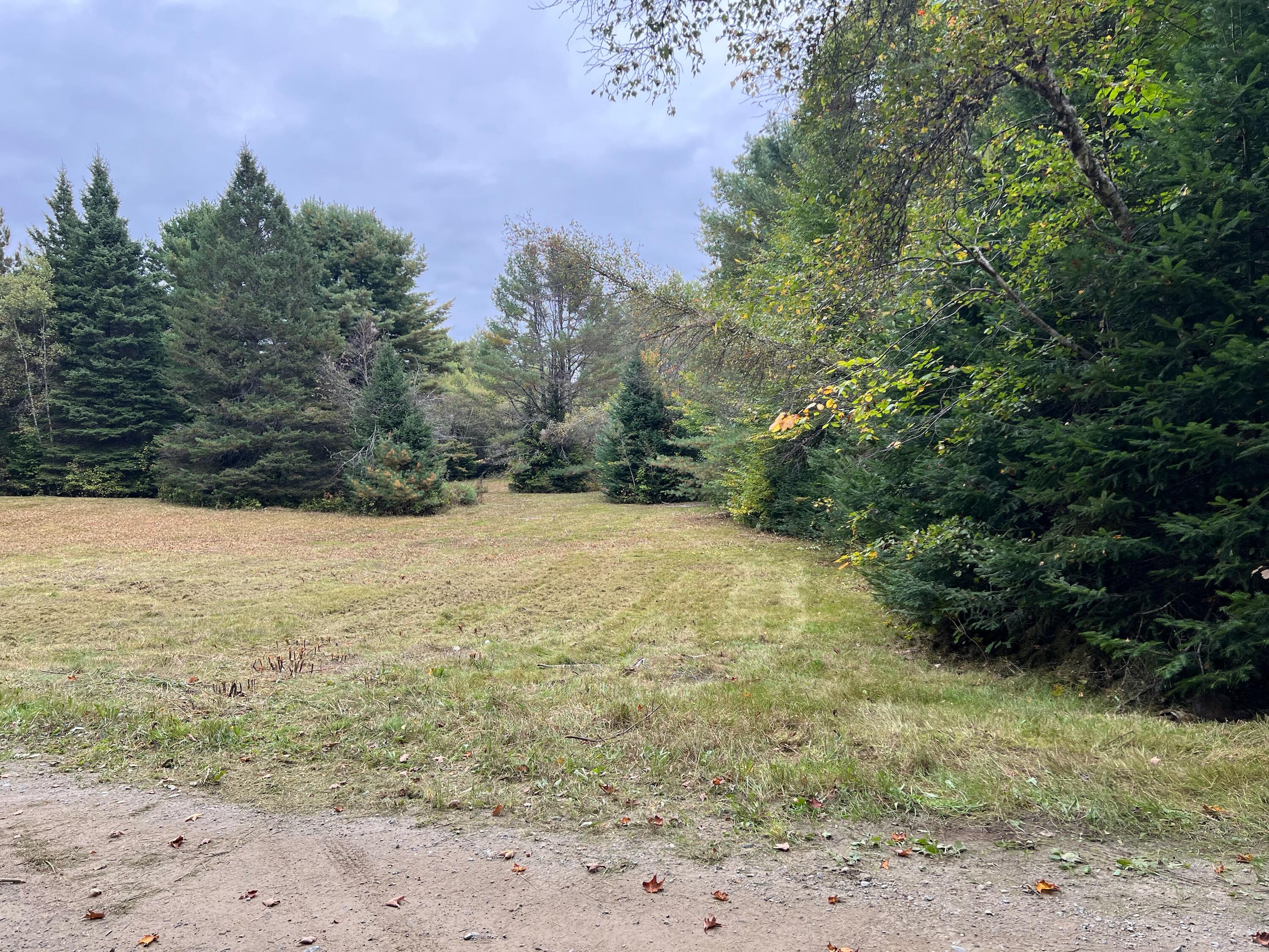 Lot 4 Town Line Road Springfield, ME 04487 - Photo 2 of 15 IMG_5133