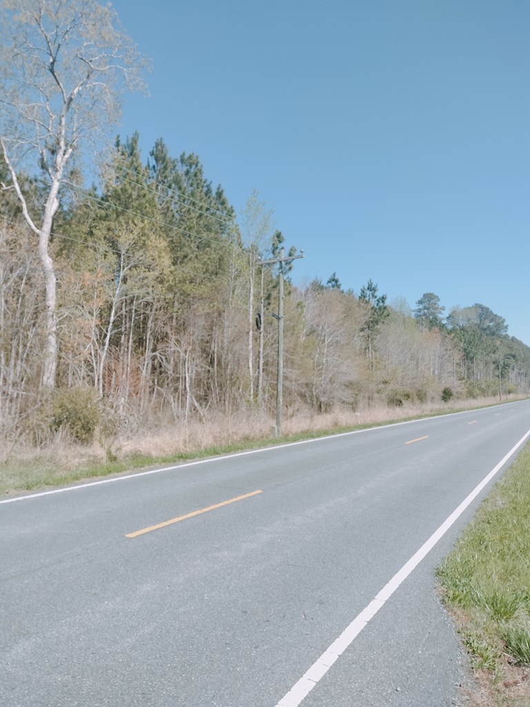 0 Mears Station Road Bloxom, VA 23308 - Photo 4 of 5