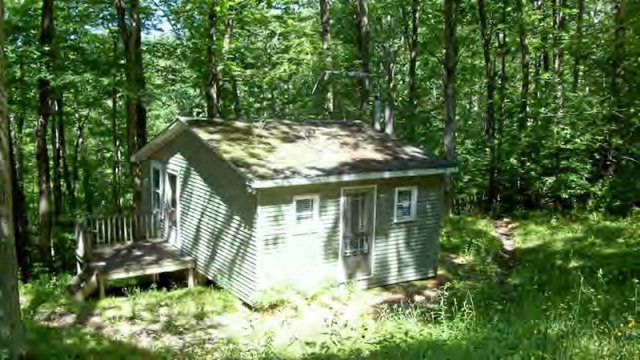 Main View