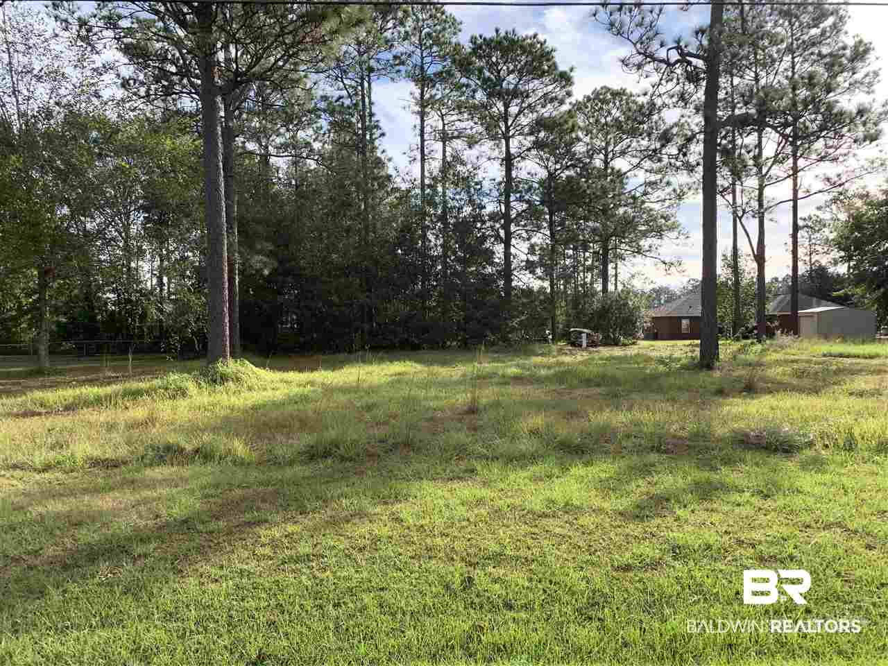 0 North Magnolia Street Loxley, AL 36551 - Photo 1 of 1