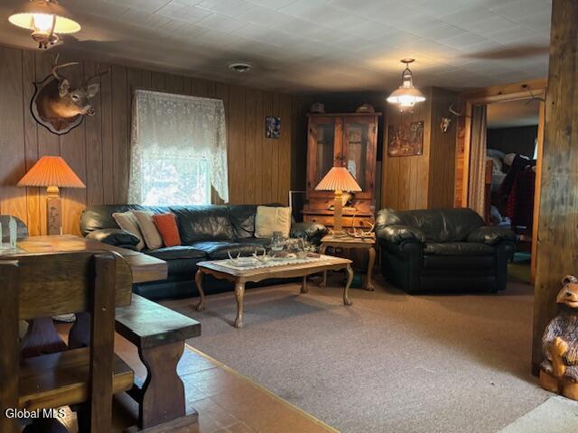 501 Harrington Road Johnsburg, NY 12886 - Photo 15 of 16 IMG_6450