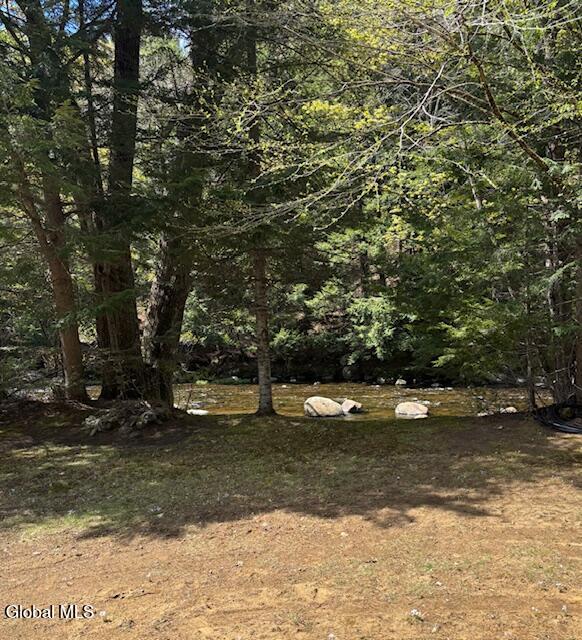 501 Harrington Road Johnsburg, NY 12886 - Photo 4 of 16 IMG_6444