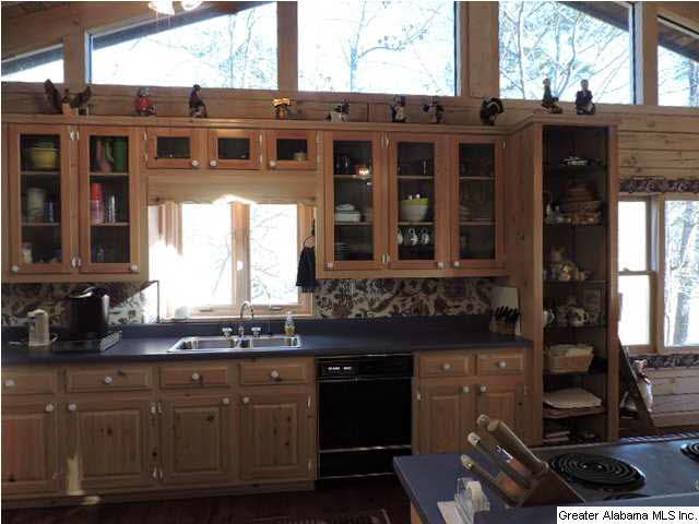 229 Hanson Road Wedowee, AL 36278 - Photo 9 of 27