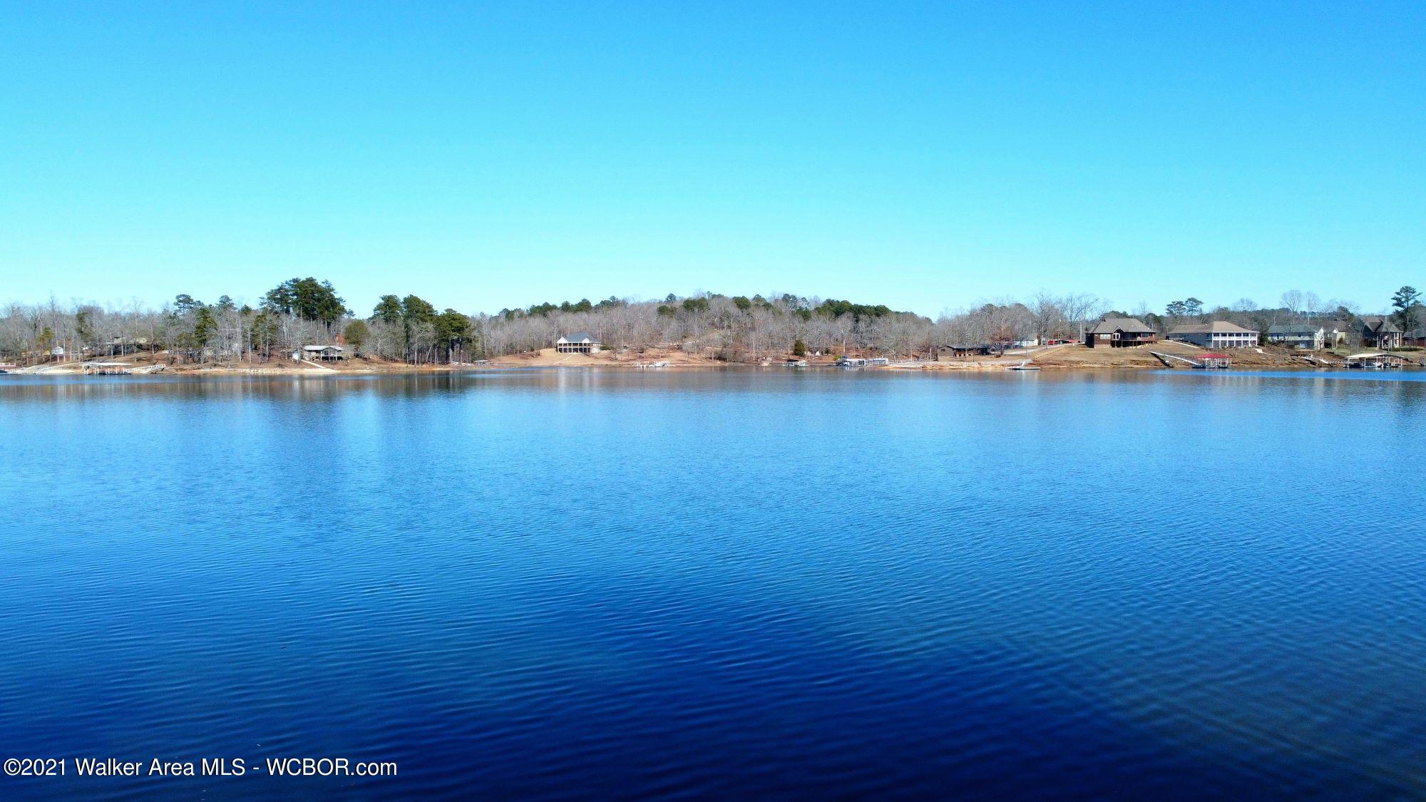 Lot 148 Stoney Point Road Double Springs, AL 35553 - Photo 12 of 17 Gallery Image 12