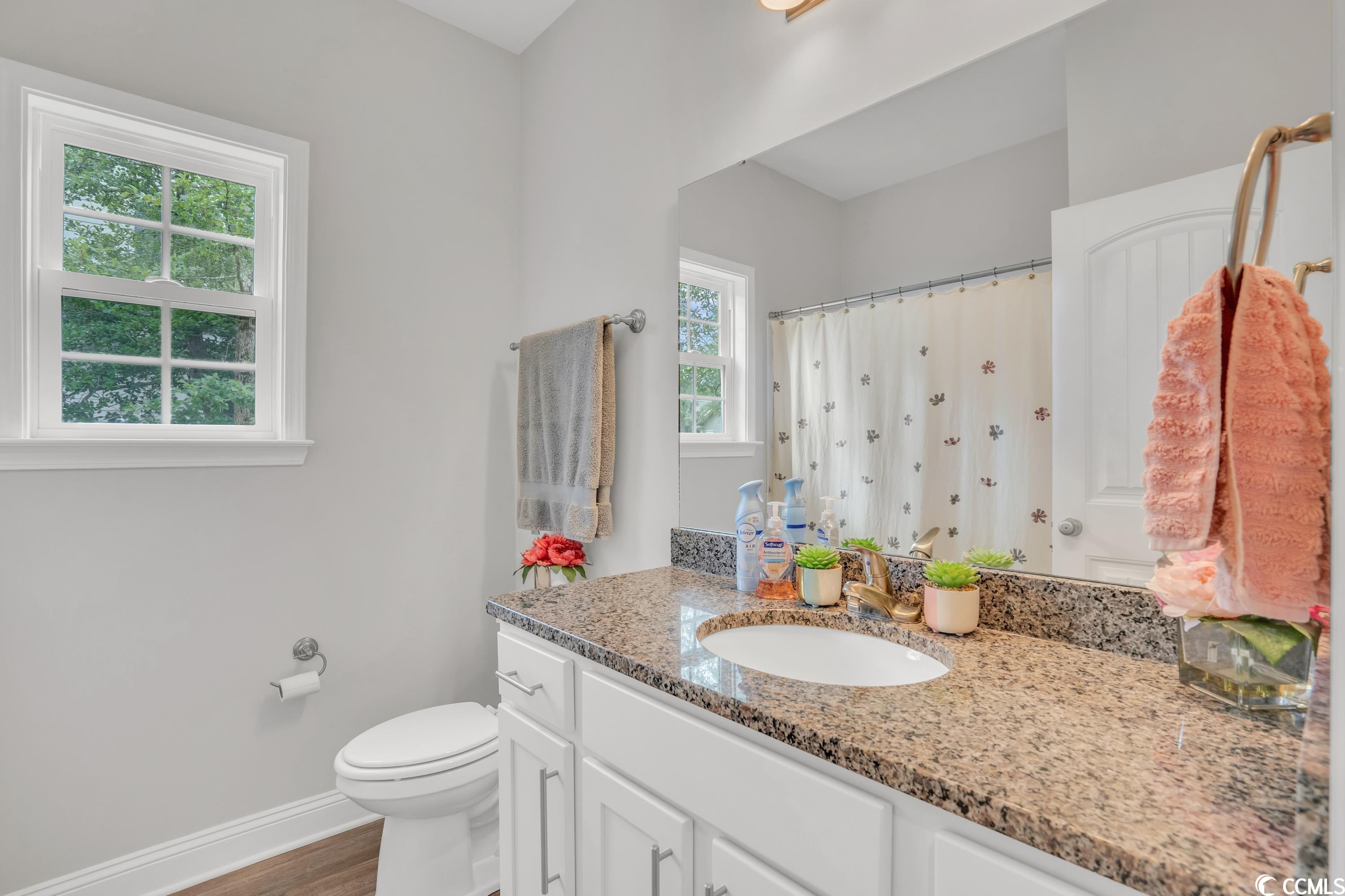 1070 Francis Parker Road Georgetown, SC 29440 - Photo 24 of 39 Gallery Image 24