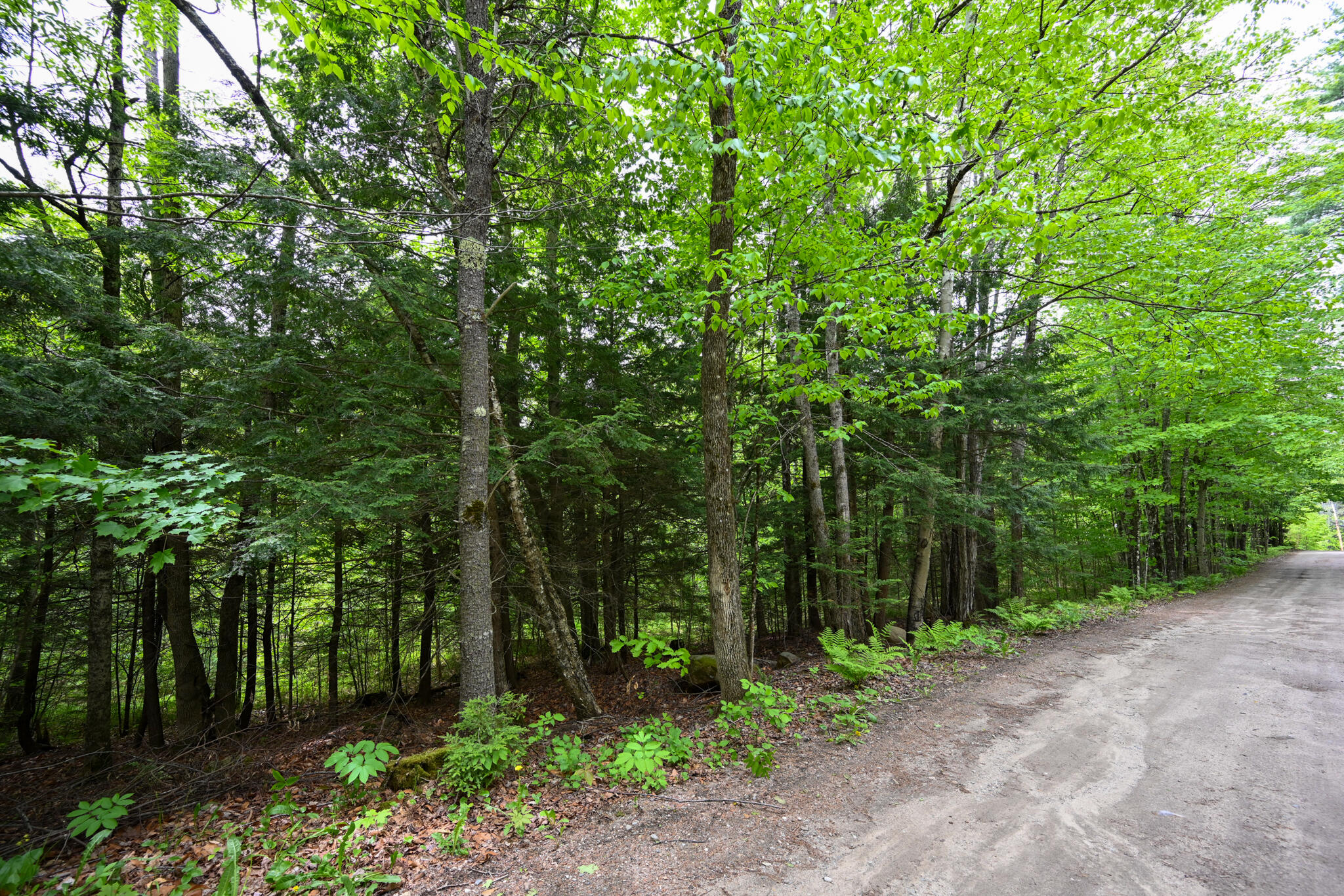 Lot 16 Old Towle Road Dixfield, ME 04224 - Photo 9 of 14 View from road