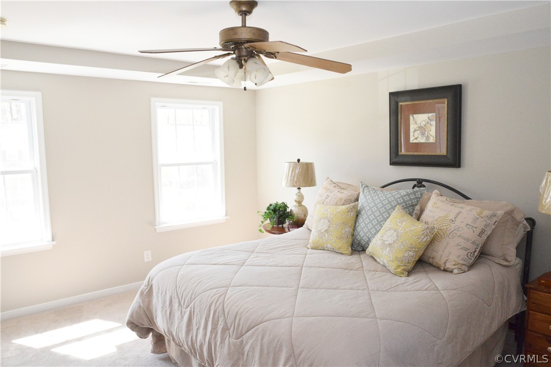 4204 Hidden Valley Road Chester, VA 23831 - Photo 31 of 50 Master Bedroom with New Carpet