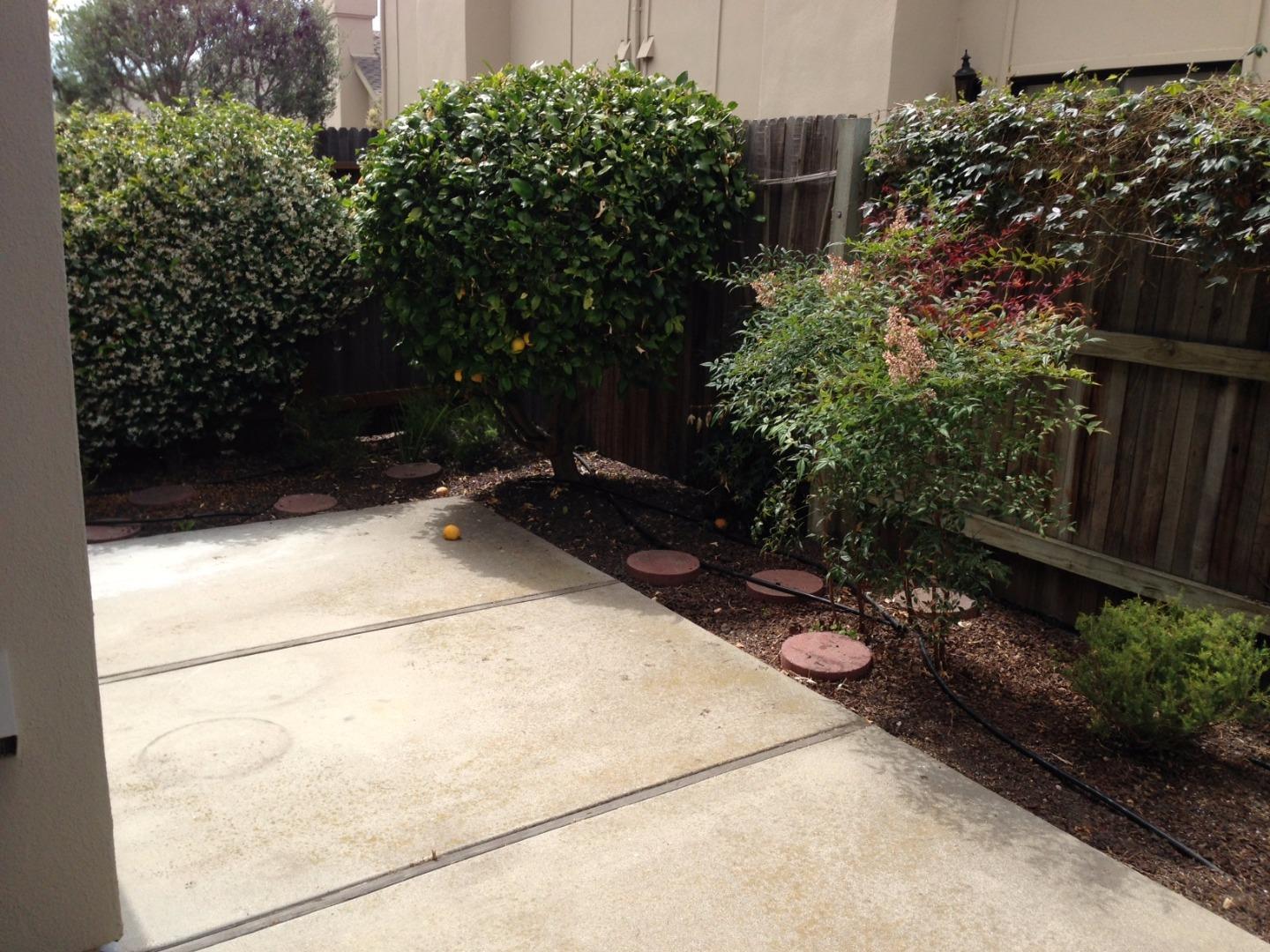 144 Nissen Road, Unit 3 Salinas, CA 93901 - Photo 14 of 16 Gallery Image 14
