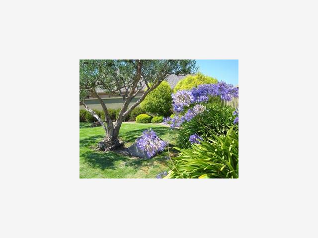 144 Nissen Road, Unit 3 Salinas, CA 93901 - Photo 16 of 16 Gallery Image 16