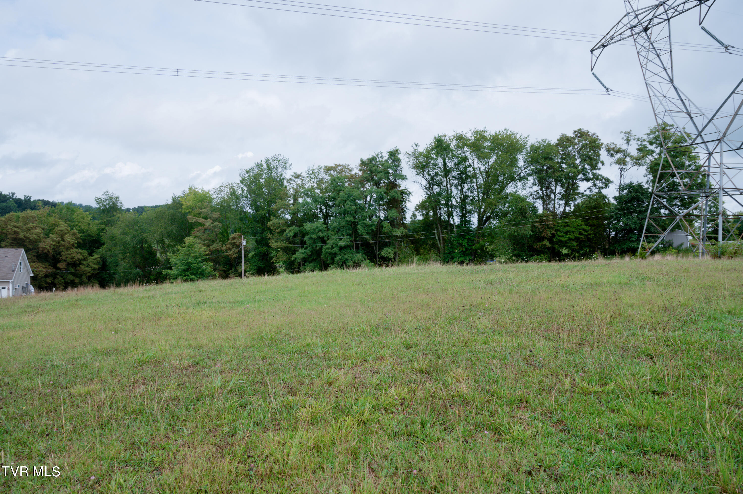 Lot 2 Painter Road Fall Branch, TN 37656 - Photo 6 of 7 IMG_3977