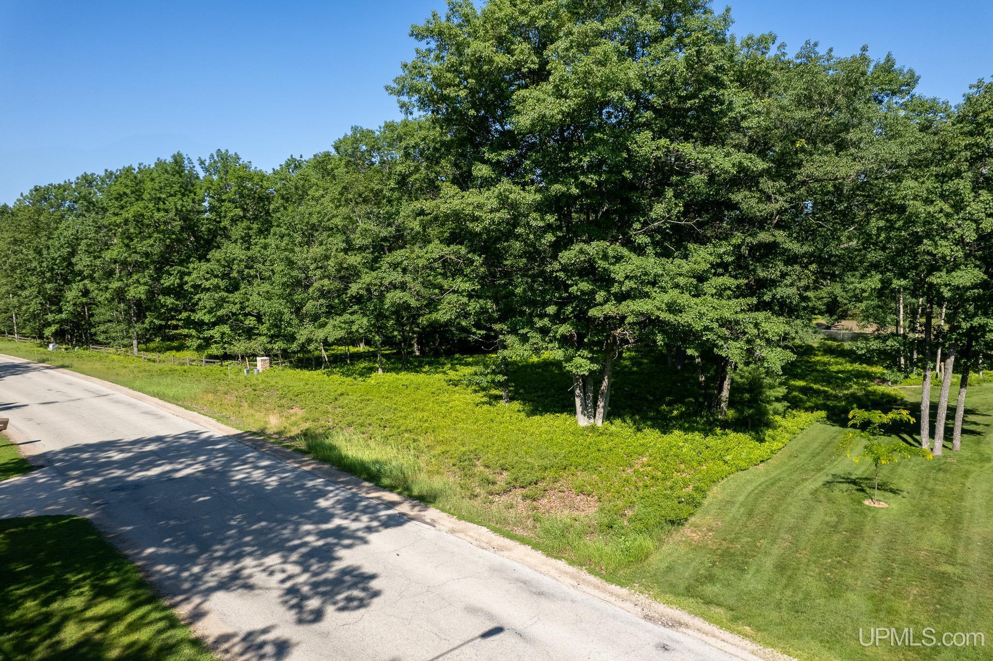 Tbd Tipperary Road Gladstone, MI 49837 - Photo 5 of 18