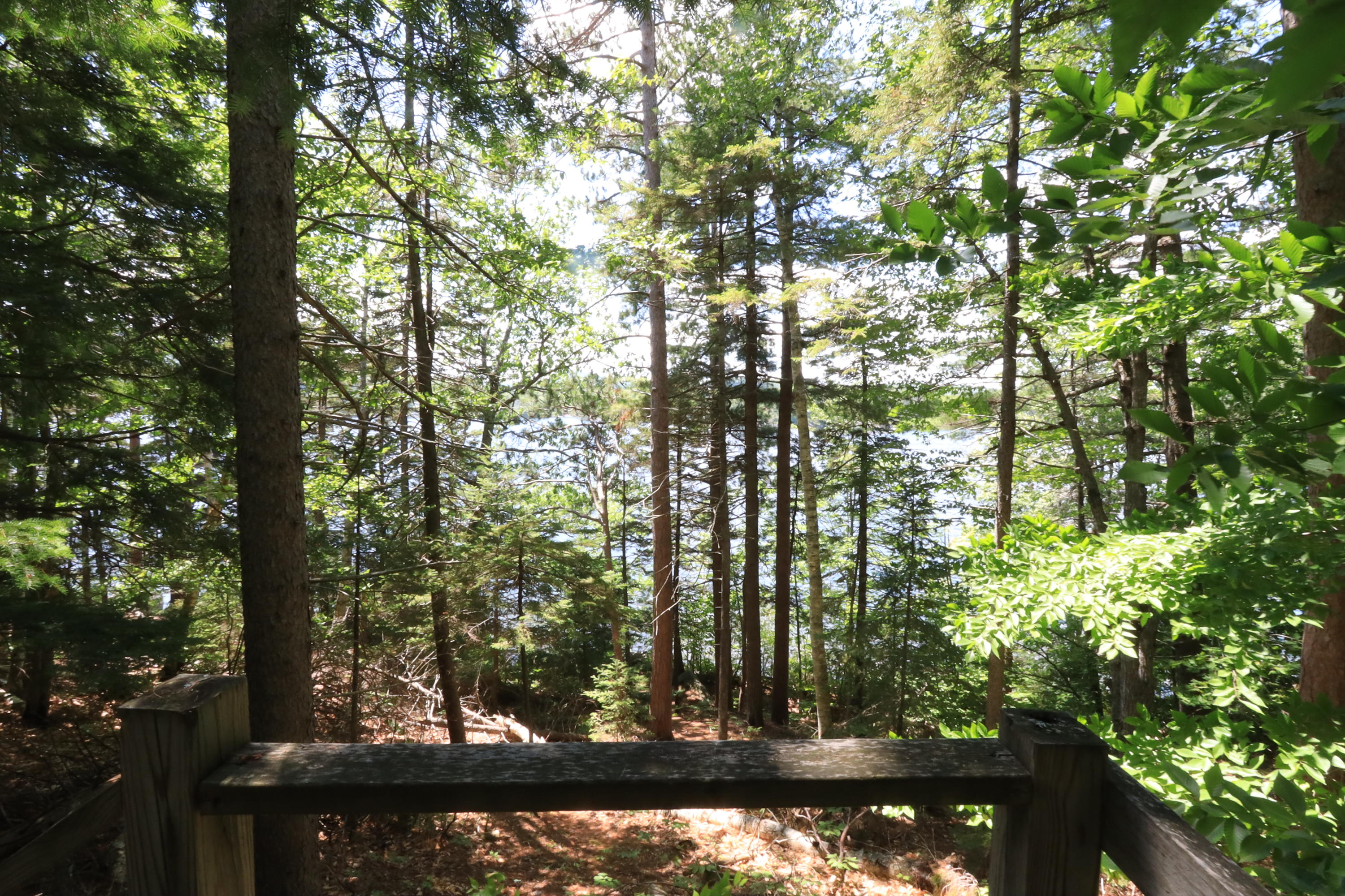 66 Balsam Road Dedham, ME 04429 - Photo 42 of 45 41