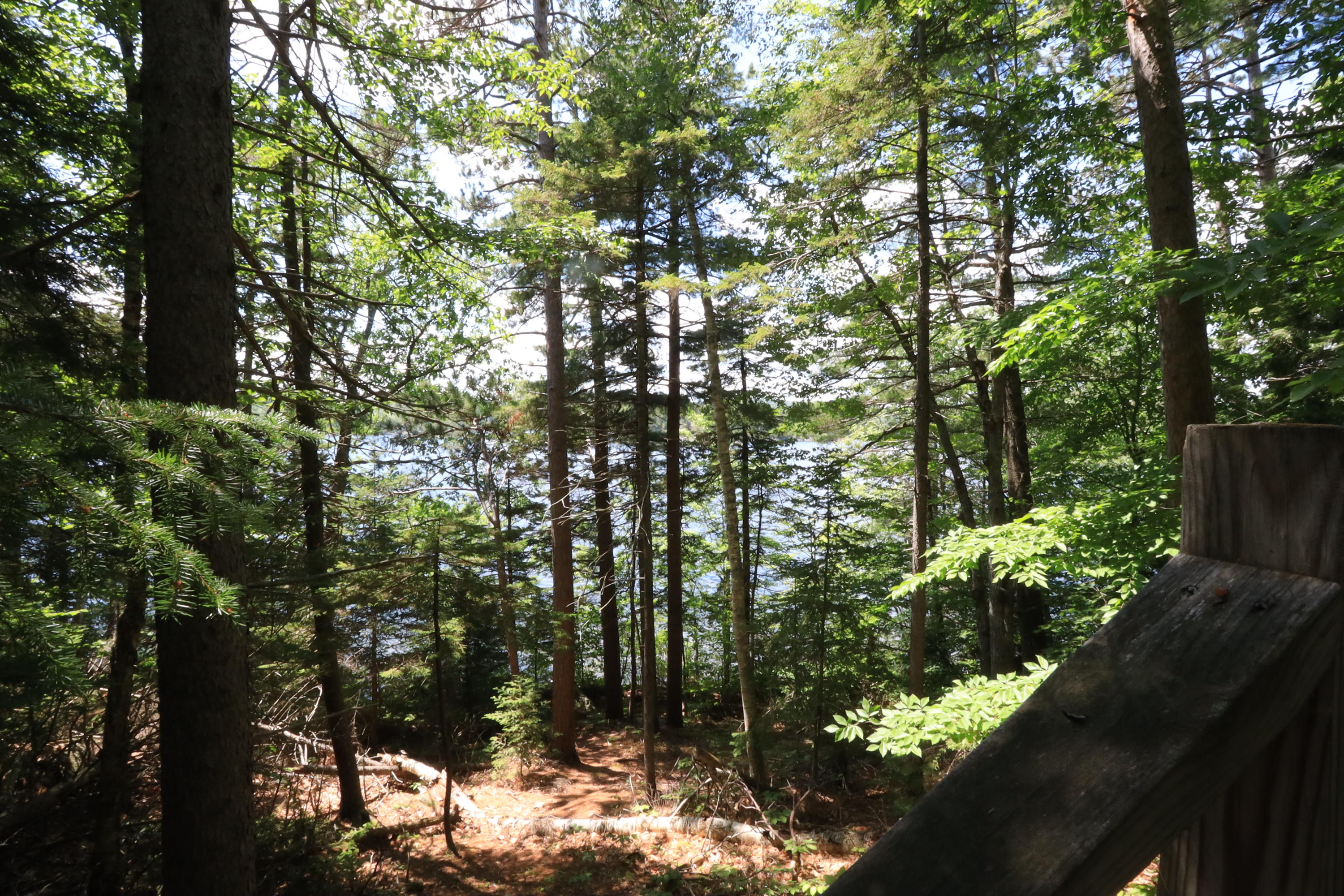 66 Balsam Road Dedham, ME 04429 - Photo 43 of 45 42