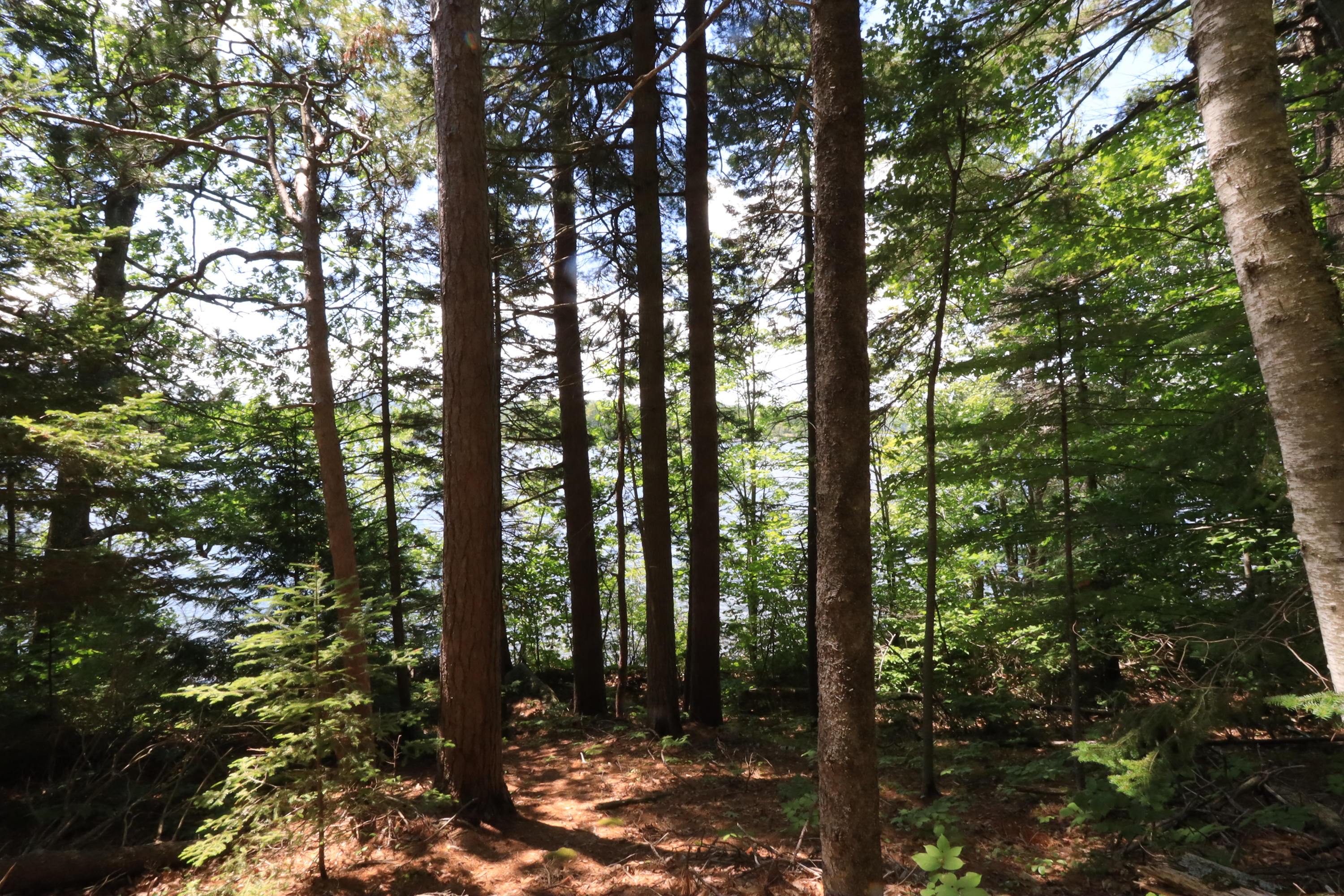 66 Balsam Road Dedham, ME 04429 - Photo 44 of 45 43