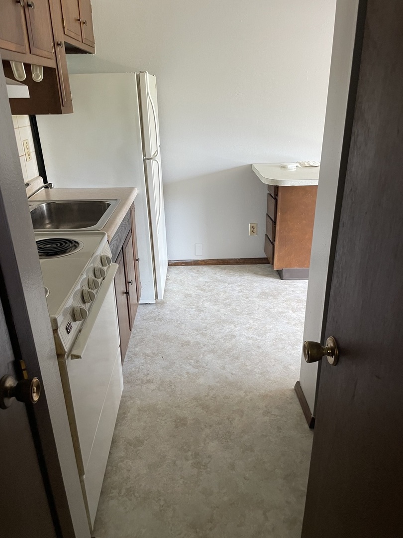 348 Irene Avenue, Unit 2 Rochelle, IL 61068 - Photo 5 of 5 a view of a kitchen with a sink and dishwasher