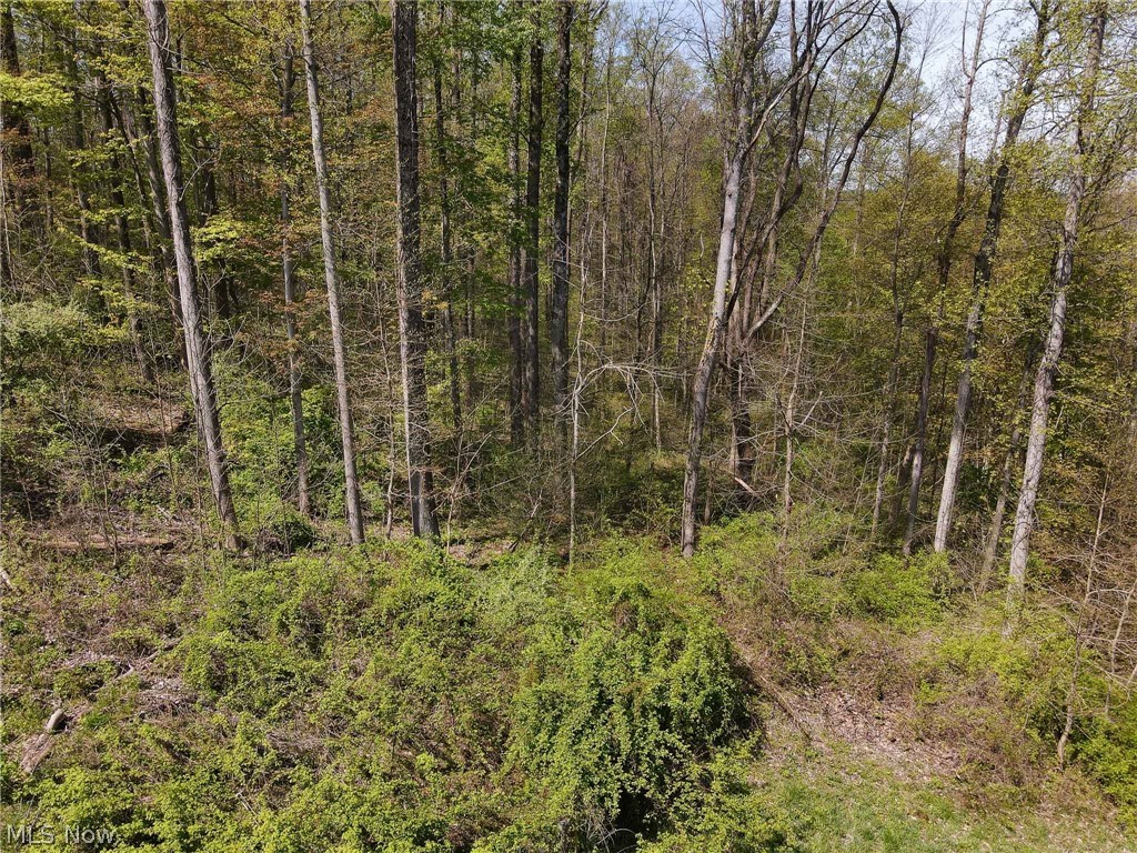 59010 Eldon Road Quaker City, OH 43773 - Photo 26 of 35 Gallery Image 26
