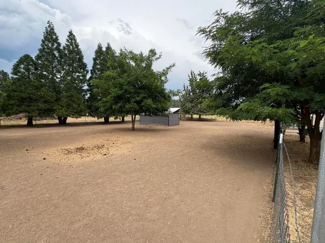 a view of wooden deck with a large window and potted plants