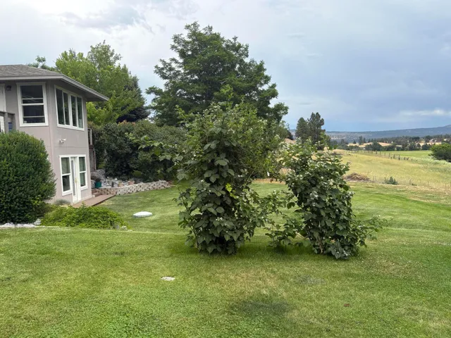 a backyard of a house with lots of green space