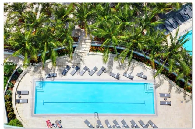 a view of swimming pool that has lawn chairs potted plants and palm tree