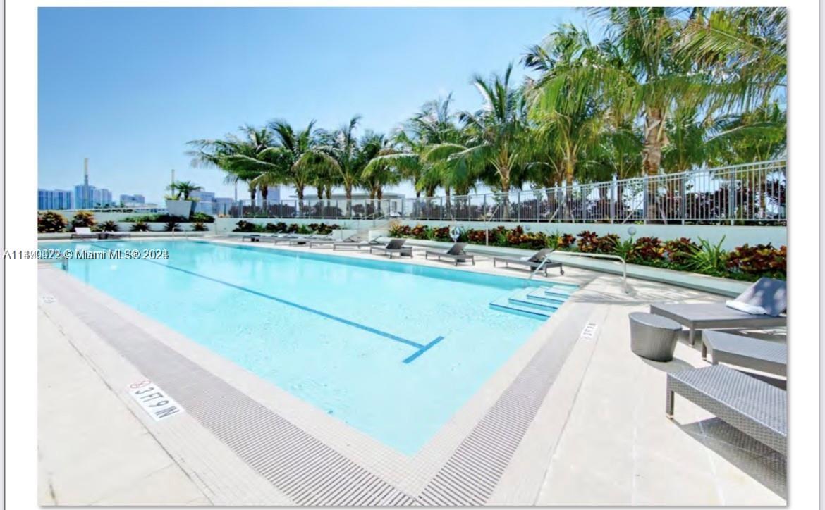 900 Biscayne Boulevard, Unit 4904 Miami, FL 33132 - Photo 19 of 29 a view of swimming pool that has lawn chairs potted plants and palm tree