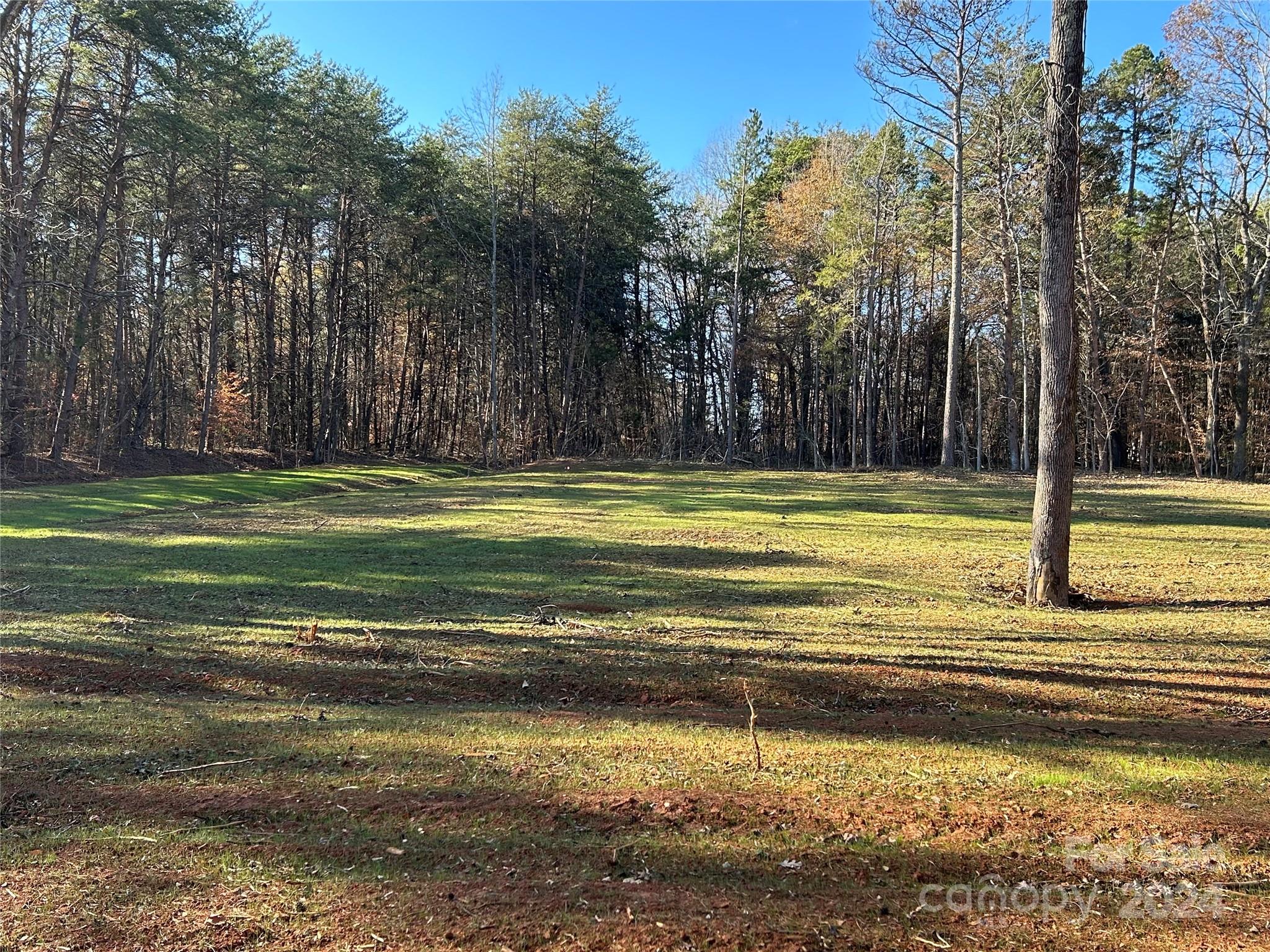 0 Parkwood Road Cleveland, NC 27013 - Photo 3 of 7