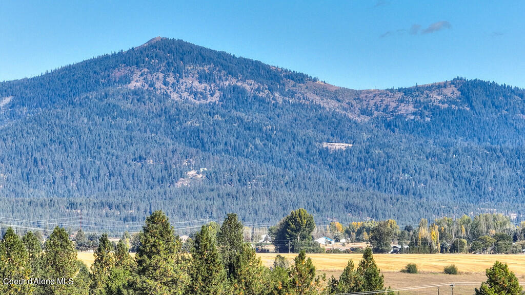 3576 Blaze Loop Post Falls, ID 83854 - Photo 28 of 28 a13