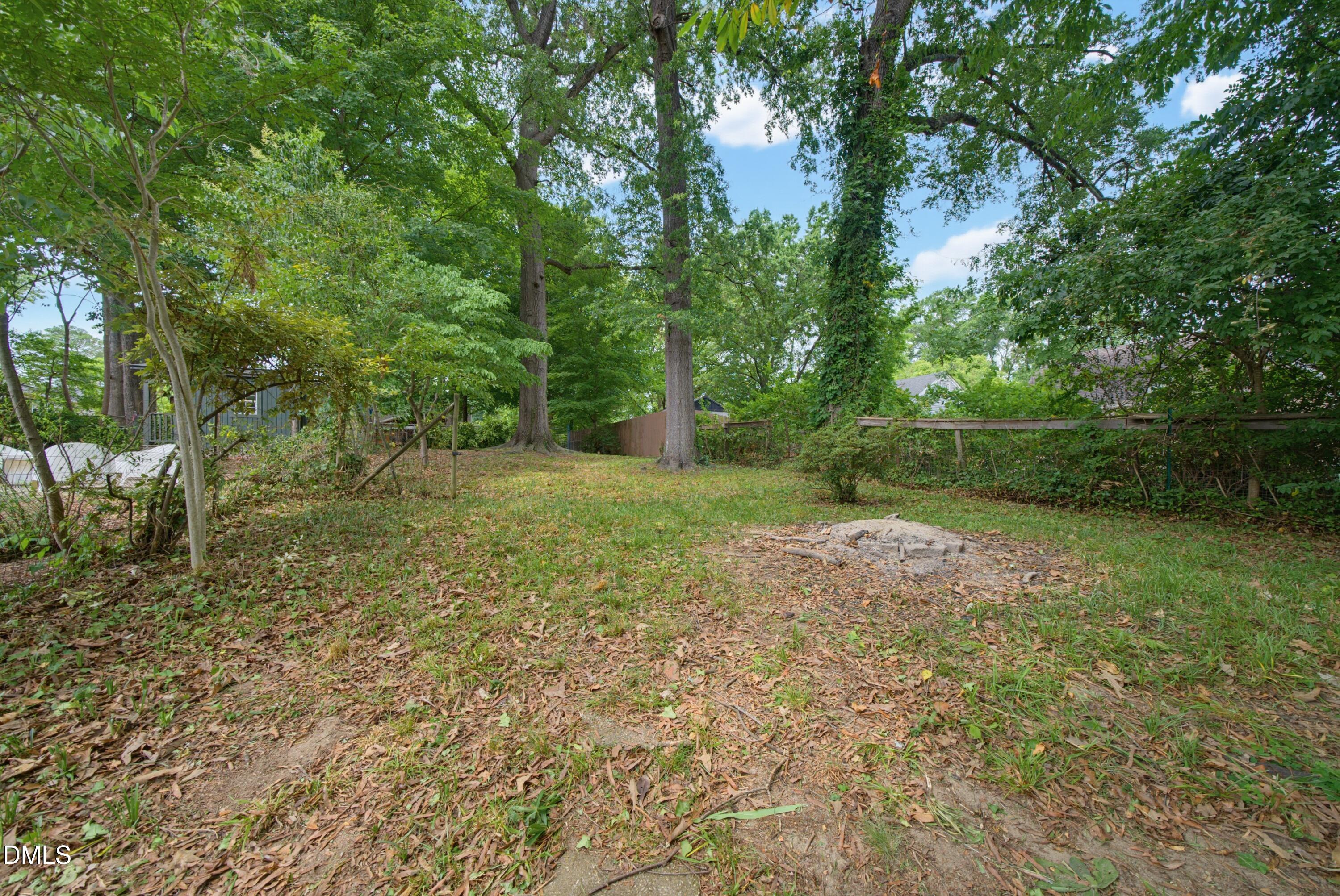 1229 Norris Street Raleigh, NC 27604 - Photo 20 of 29 DSC00155