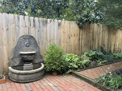 a view of a backyard with plants and a fountain