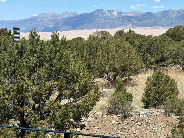 a view of a forest with a mountain